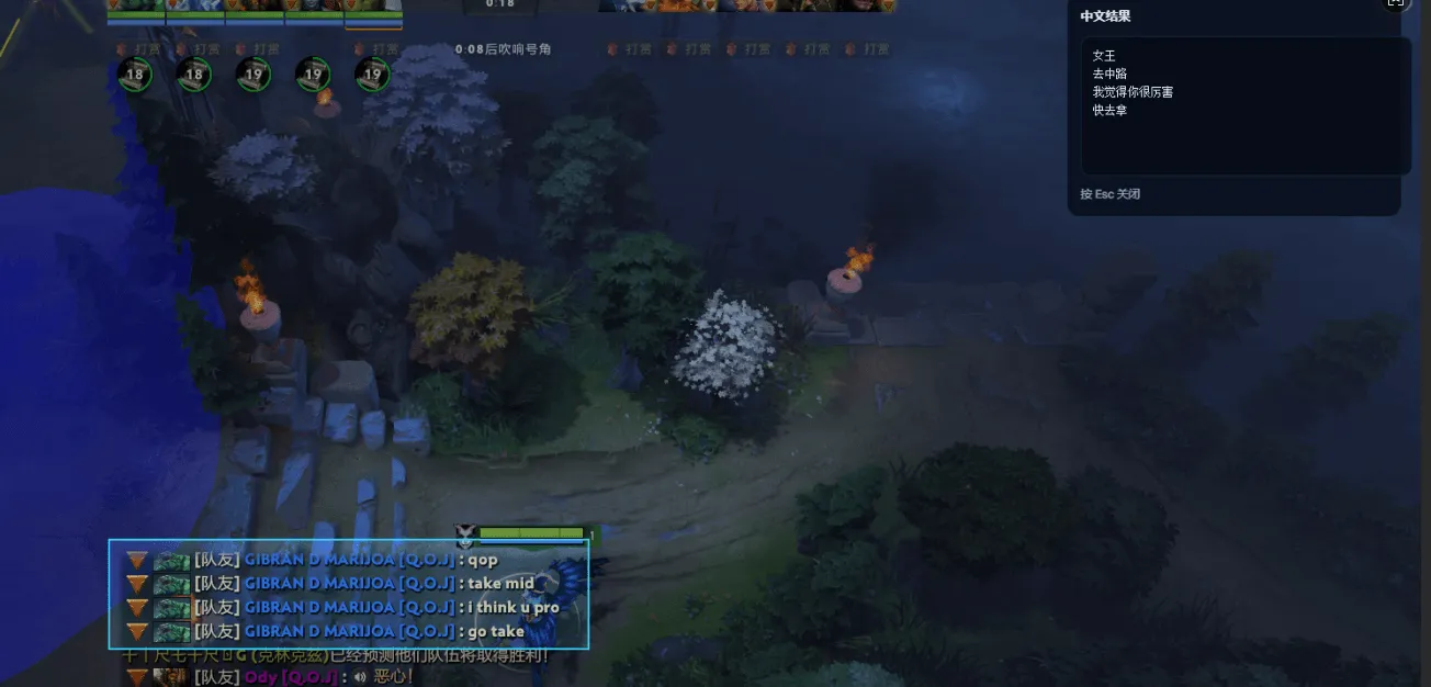 DotaChat 框选 Dota 2 聊天区域，并在右上角显示中文译文
